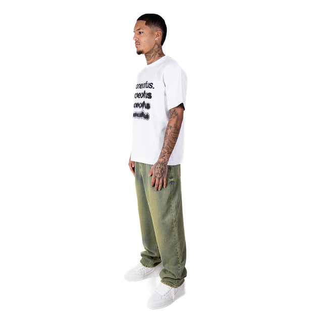 DENIM DÉLAVÉ LIME