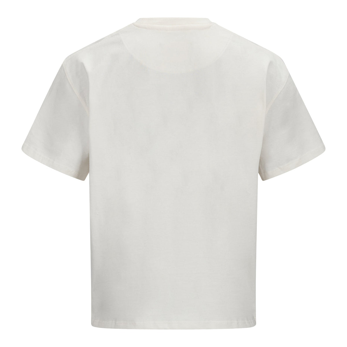 TEE-SHIRT BLANC CASSÉ FLOU